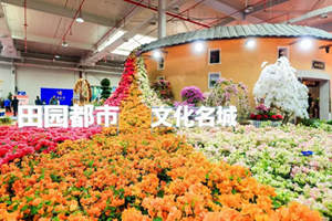 东南农博会花博会漳州农业盛宴，花卉、茶叶、非遗展会齐亮相！